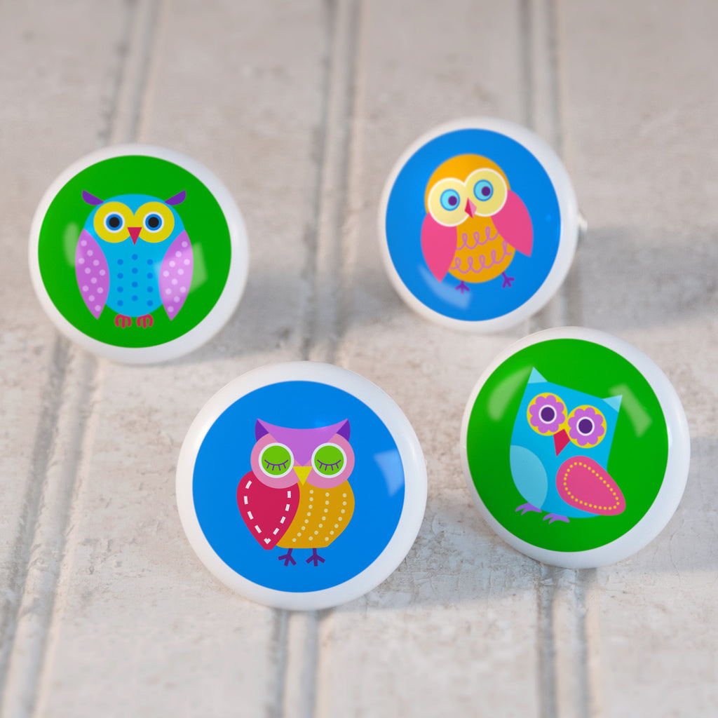 Owls Set of 4 Small Ceramic Kids Drawer Knobs by Olive Kids from Art Appeel