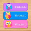 Owls personalized kids name waterproof labels with colorful owls on pink, purple and blue backgrounds